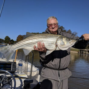 Steve_rhodes Steve_rhodes