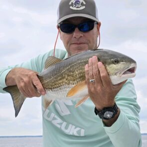 dave-hegel dave-hegel