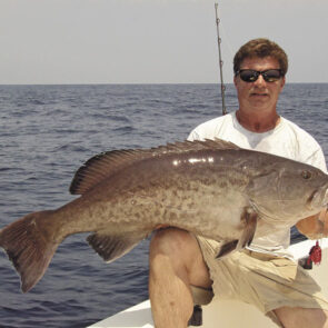 tim barefoot tim barefoot